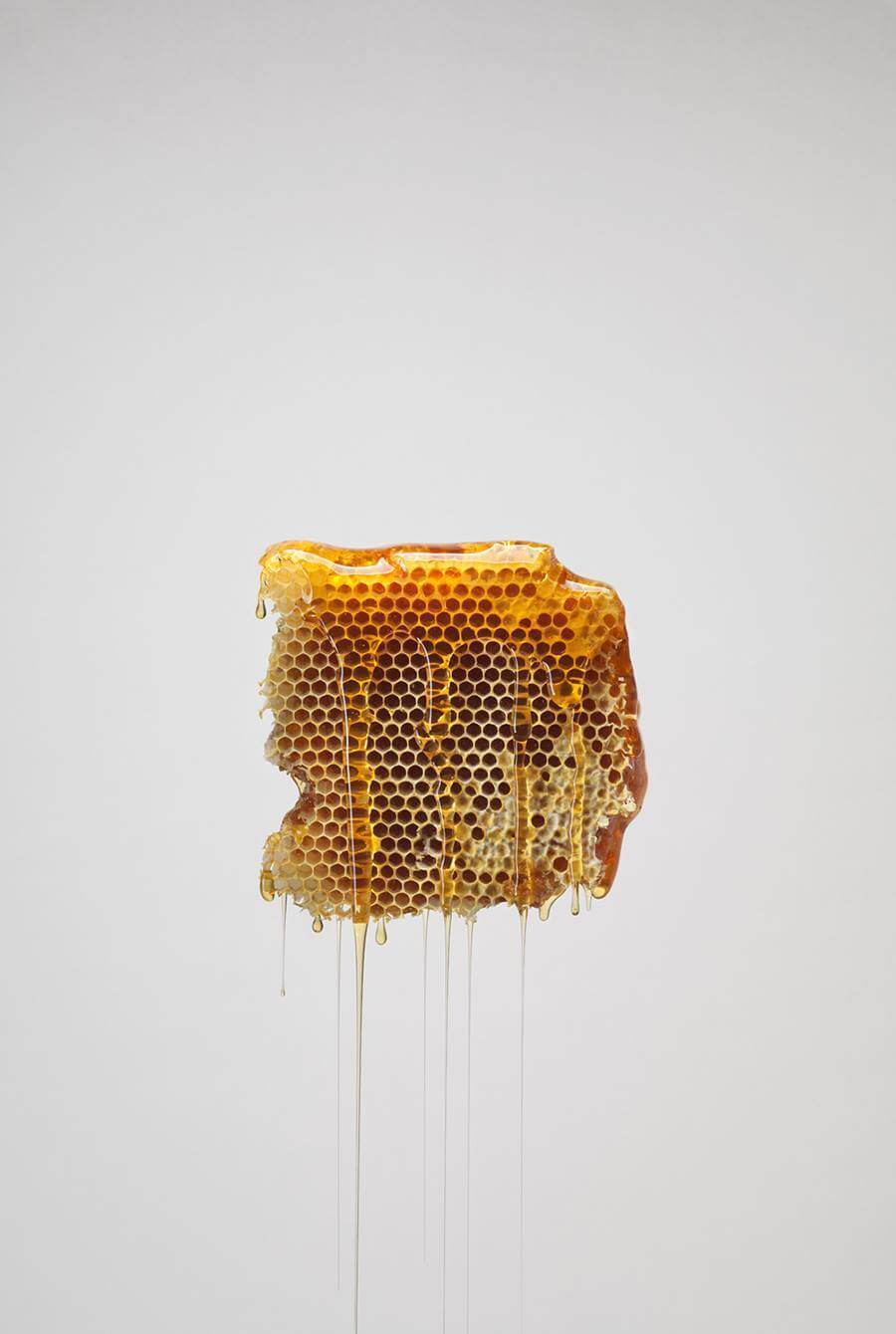 Professor Fuzzworthy Beard Care & Grooming - Sensitive Skin - 100% Natural Men's Grooming